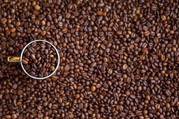 tiêu chuẩn xuất khẩu cà phê