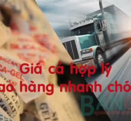 bán gói hút ẩm
