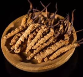 đông trùng hạ thảo khô