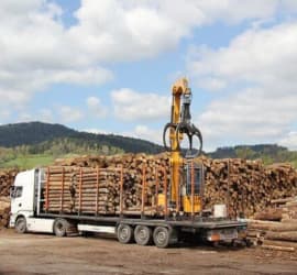 Cách vận chuyển gỗ xuất nội địa