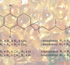 thực phẩm giàu vitamin E