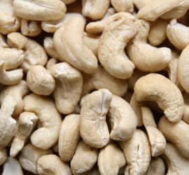 quy trình xử lý hạt điều xuất khẩu