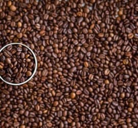 cà phê hạt cần độ ẩm bao nhiêu